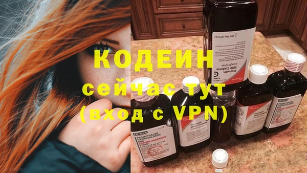 гашик Заводоуковск