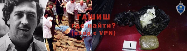 гашик Заводоуковск