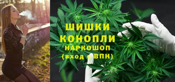 гашик Заводоуковск