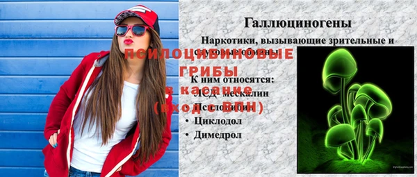 гашик Заводоуковск