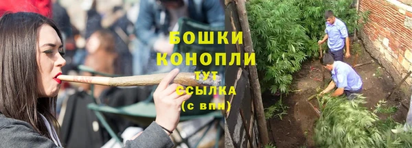 гашик Заводоуковск