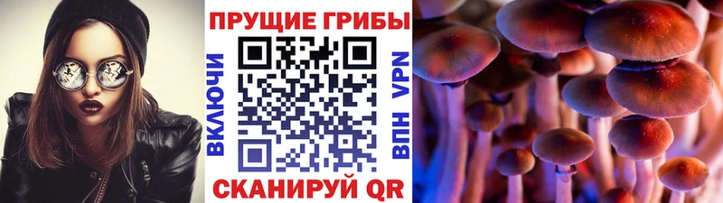 Купить закладки  Кубинка  Псилоцибиновые грибы Magic Shrooms 